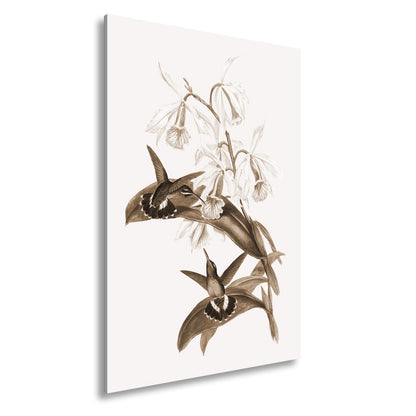 Leinwandbild Orchideen und Kolibris tanzen in zarter Naturharmonie - deyoli
