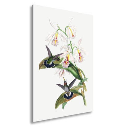 Leinwandbild Orchideen und Kolibris tanzen in zarter Naturharmonie - deyoli
