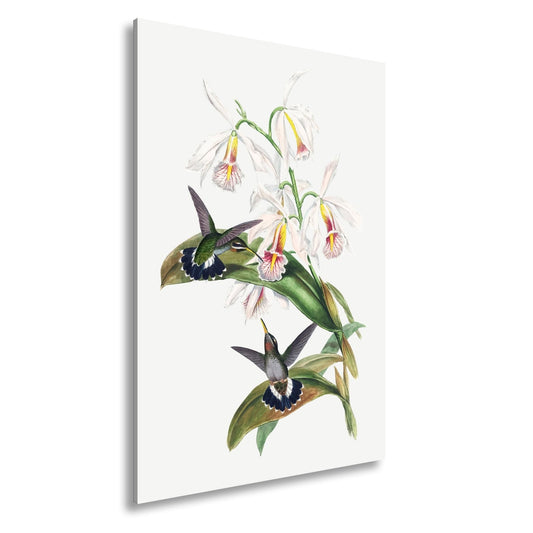 Leinwandbild Orchideen und Kolibris tanzen in zarter Naturharmonie - deyoli