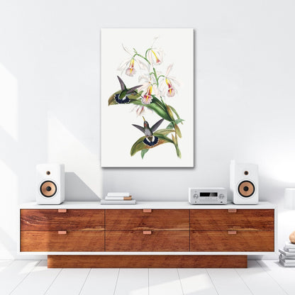 Leinwandbild Orchideen und Kolibris tanzen in zarter Naturharmonie - deyoli