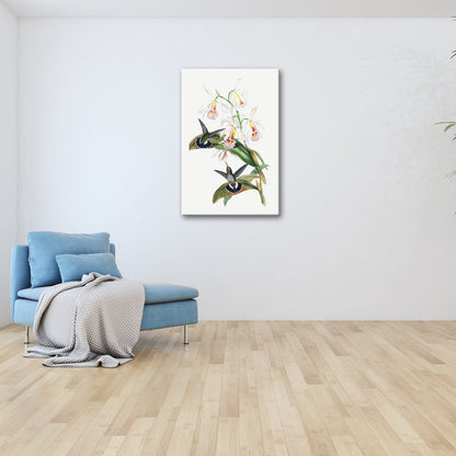 Leinwandbild Orchideen und Kolibris tanzen in zarter Naturharmonie - deyoli
