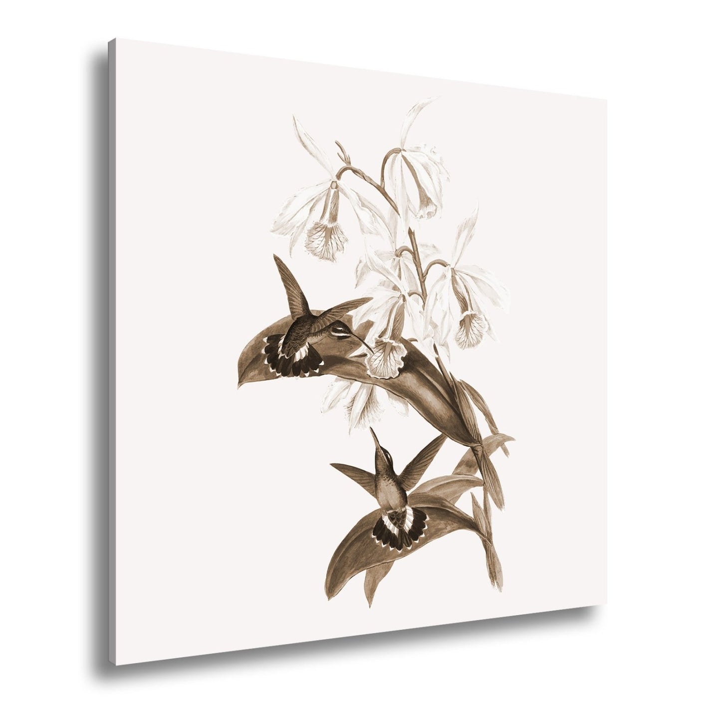 Leinwandbild Orchideen und Kolibris tanzen in zarter Naturharmonie - deyoli