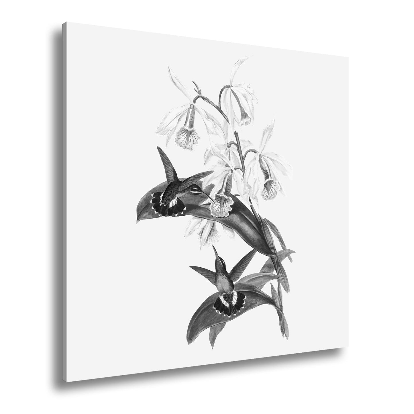 Leinwandbild Orchideen und Kolibris tanzen in zarter Naturharmonie - deyoli