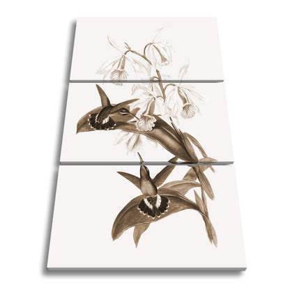 Leinwandbild Orchideen und Kolibris tanzen in zarter Naturharmonie - deyoli