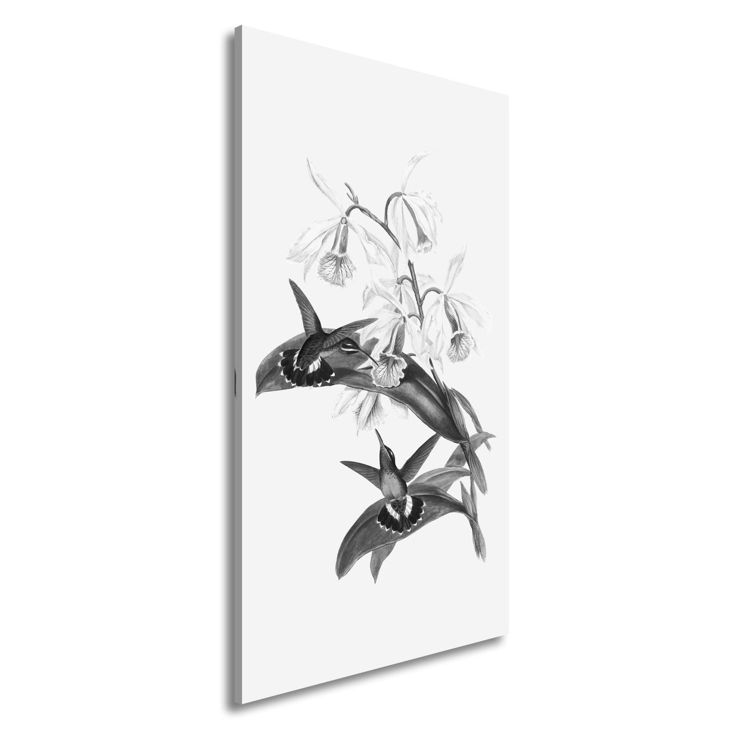 Leinwandbild Orchideen und Kolibris tanzen in zarter Naturharmonie - deyoli