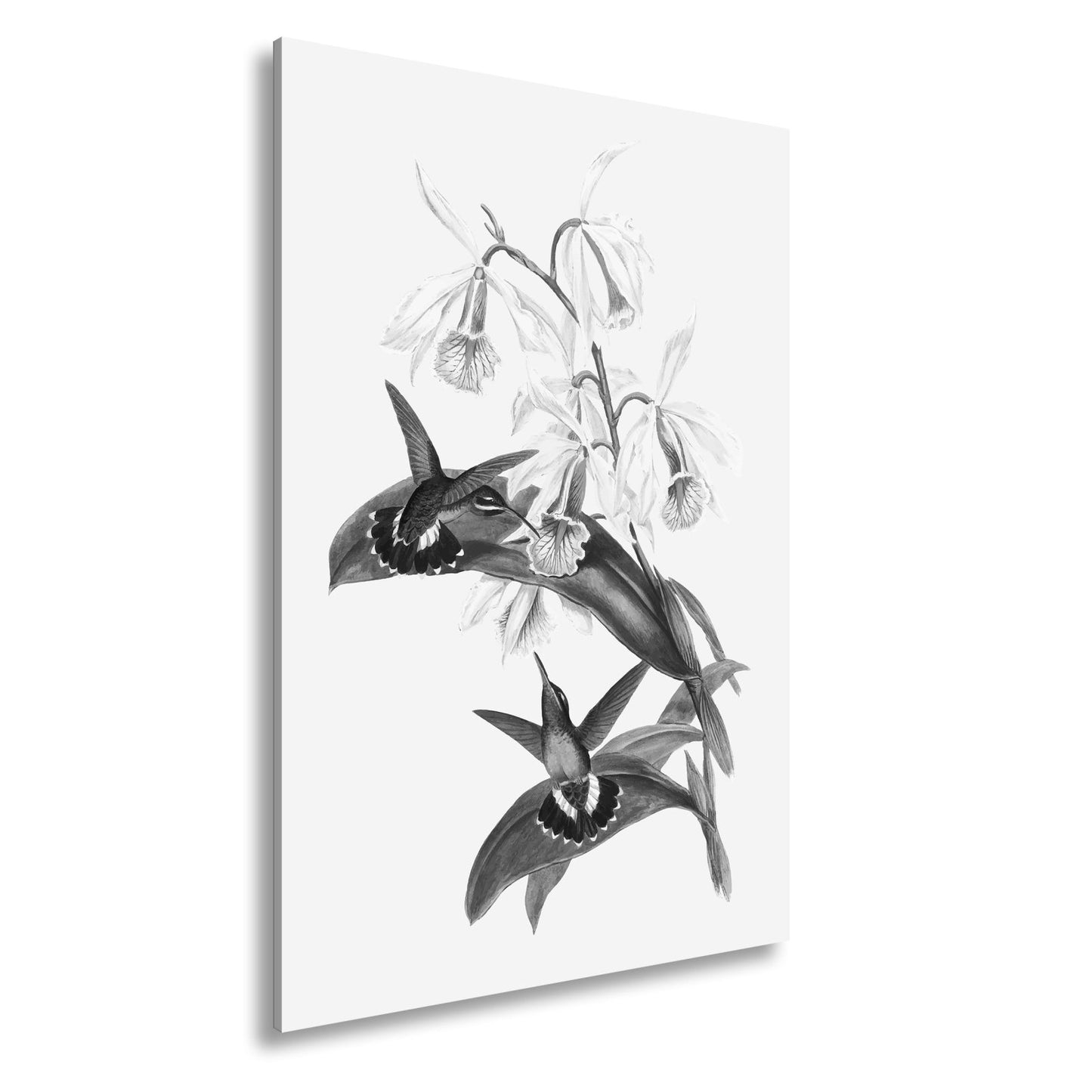 Leinwandbild Orchideen und Kolibris tanzen in zarter Naturharmonie - deyoli