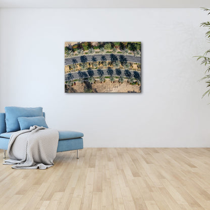 Leinwandbild Palmenallee XXL – Wirft elegante Schattenbögen - deyoli