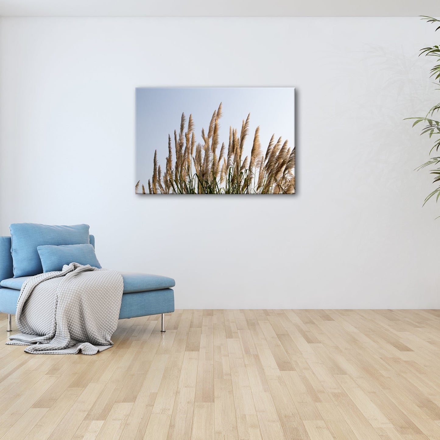 Leinwandbild Pampasgras XXL – Goldener Morgenhimmel Naturmotiv für Wohnzimmer - deyoli