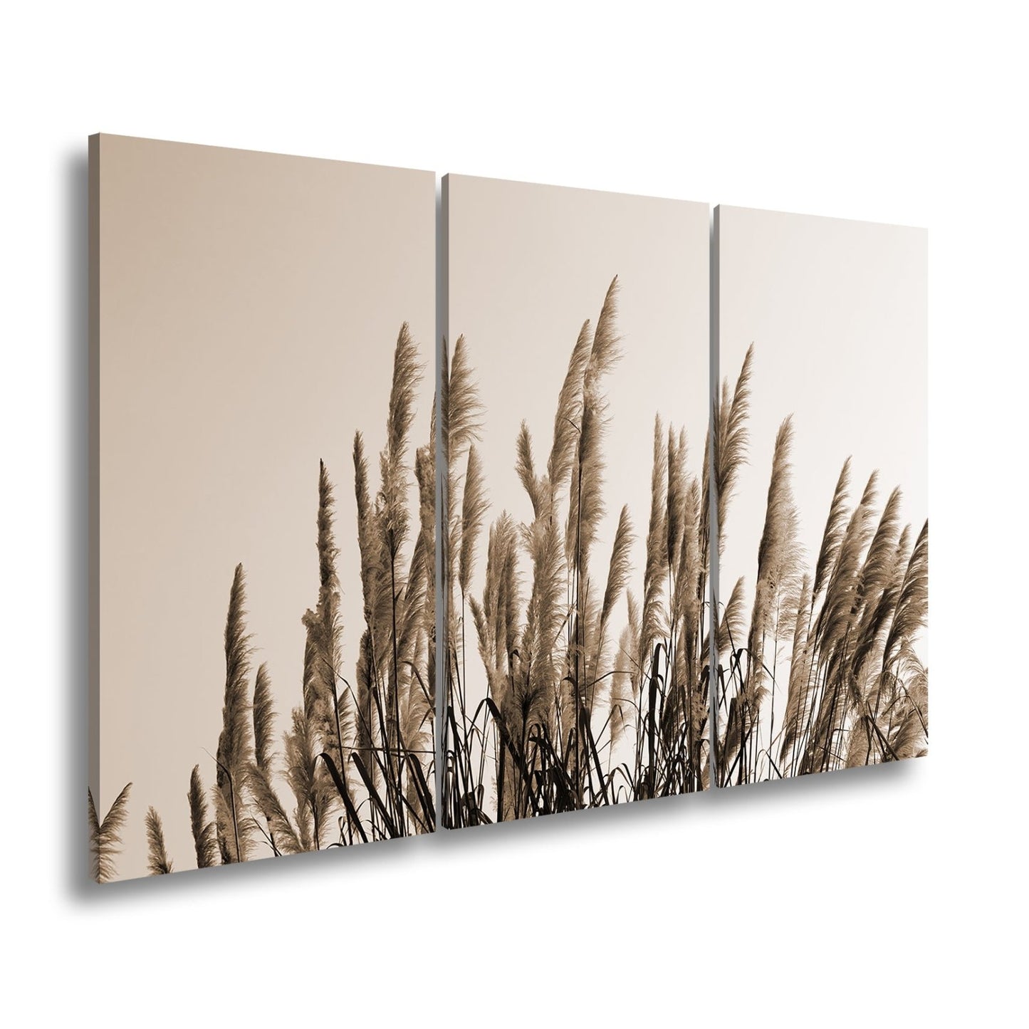 Leinwandbild Pampasgras XXL – Goldener Morgenhimmel Naturmotiv für Wohnzimmer - deyoli