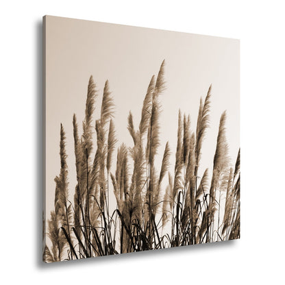 Leinwandbild Pampasgras XXL – Goldener Morgenhimmel Naturmotiv für Wohnzimmer - deyoli