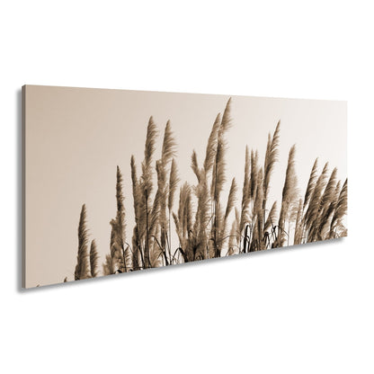 Leinwandbild Pampasgras XXL – Goldener Morgenhimmel Naturmotiv für Wohnzimmer - deyoli