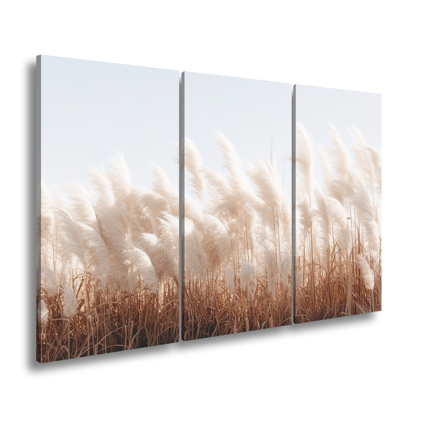 Leinwandbild Pampasgras XXL – Goldenes Licht & Naturmotiv für Wohnzimmer - deyoli
