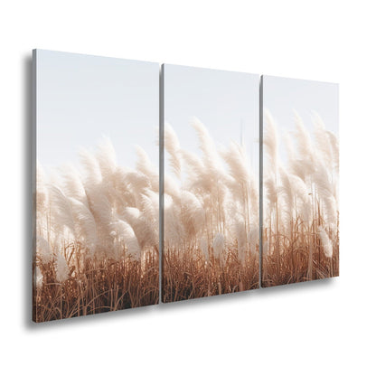 Leinwandbild Pampasgras XXL – Goldenes Licht & Naturmotiv für Wohnzimmer - deyoli