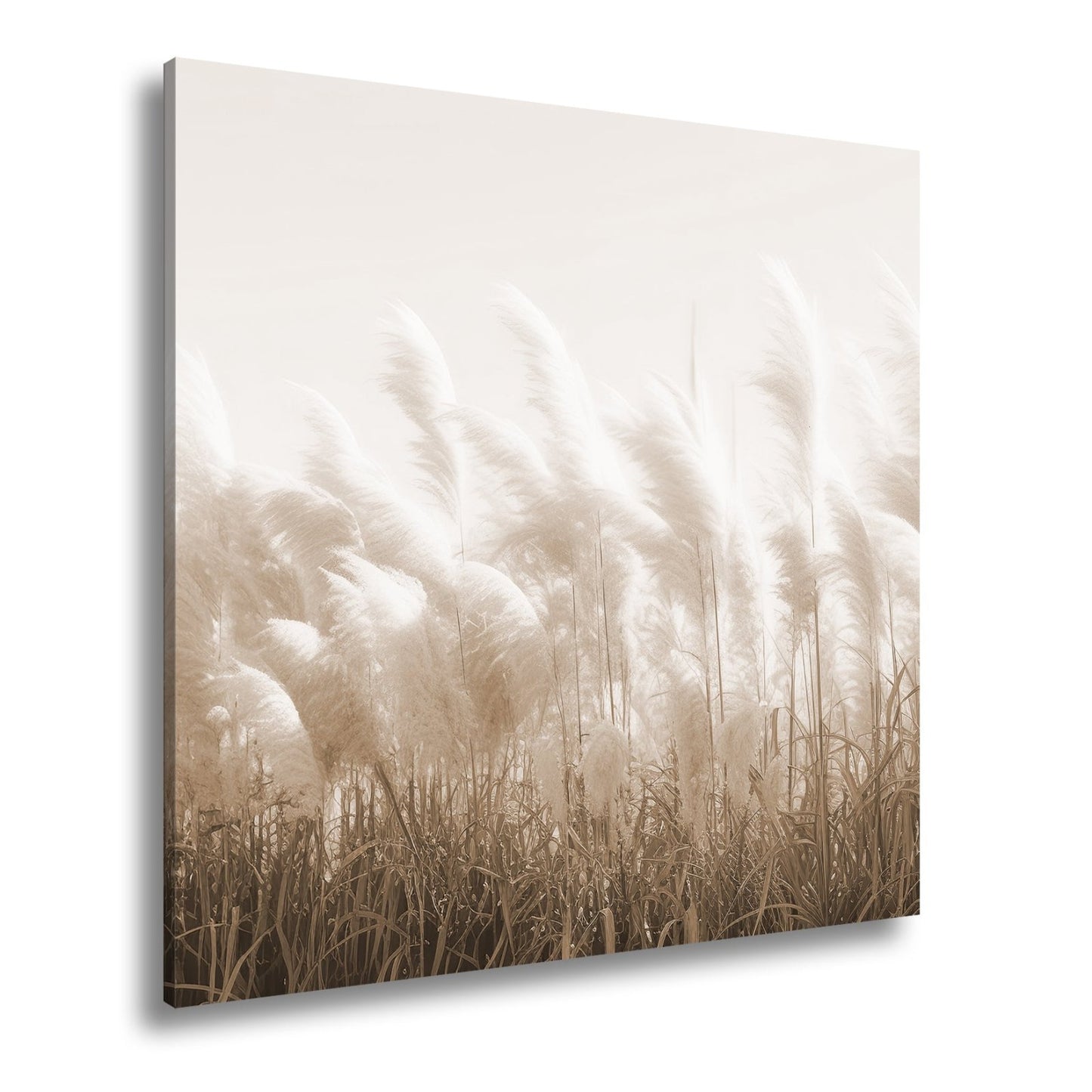 Leinwandbild Pampasgras XXL – Goldenes Licht & Naturmotiv für Wohnzimmer - deyoli