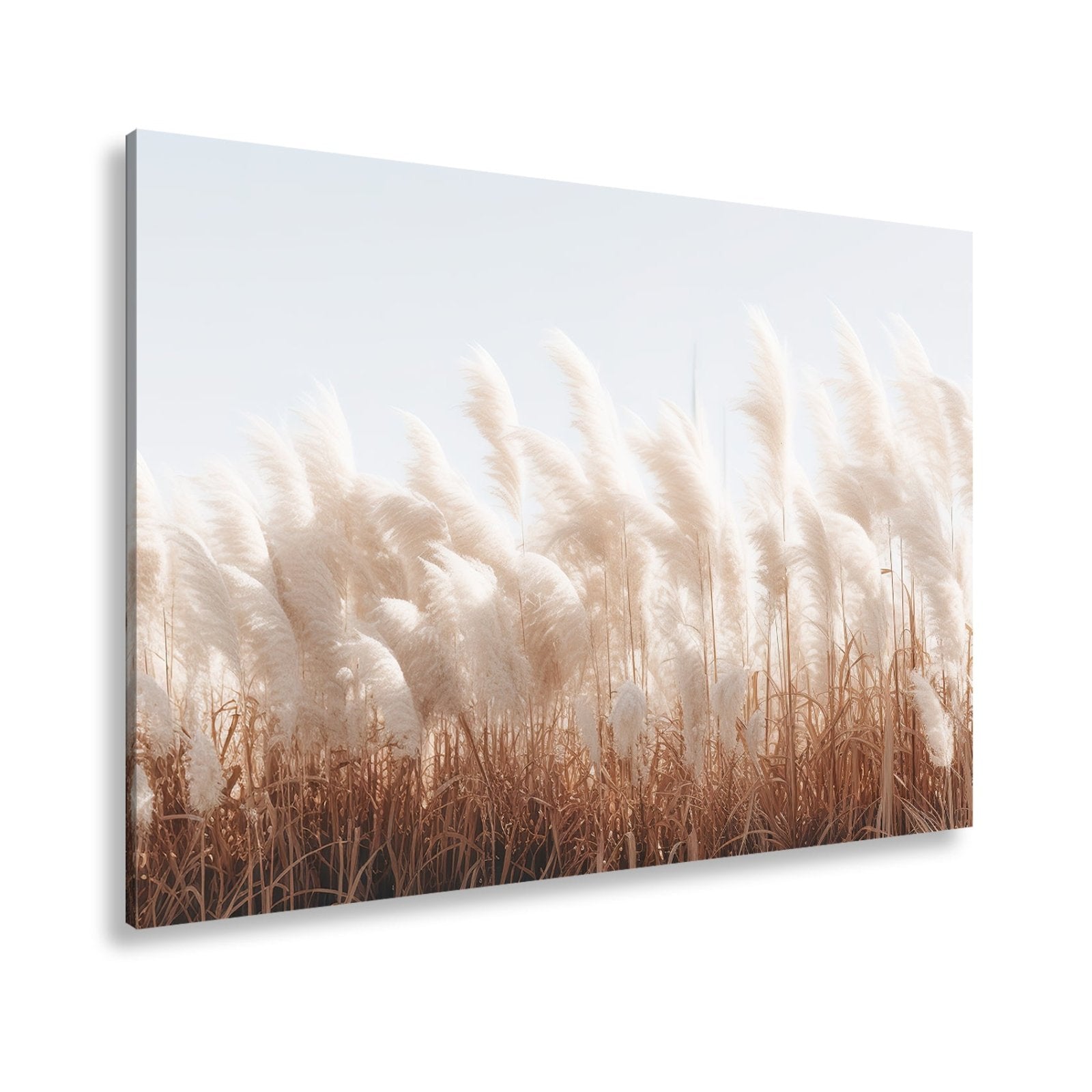 Leinwandbild Pampasgras XXL – Goldenes Licht & Naturmotiv für Wohnzimmer - deyoli