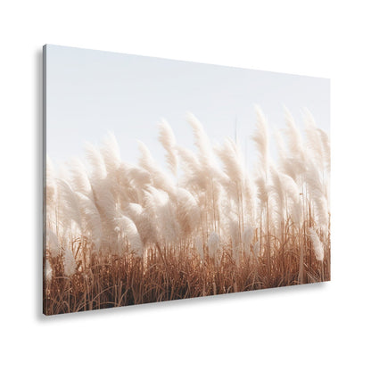 Leinwandbild Pampasgras XXL – Goldenes Licht & Naturmotiv für Wohnzimmer - deyoli