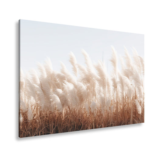 Leinwandbild Pampasgras XXL – Goldenes Licht & Naturmotiv für Wohnzimmer - deyoli