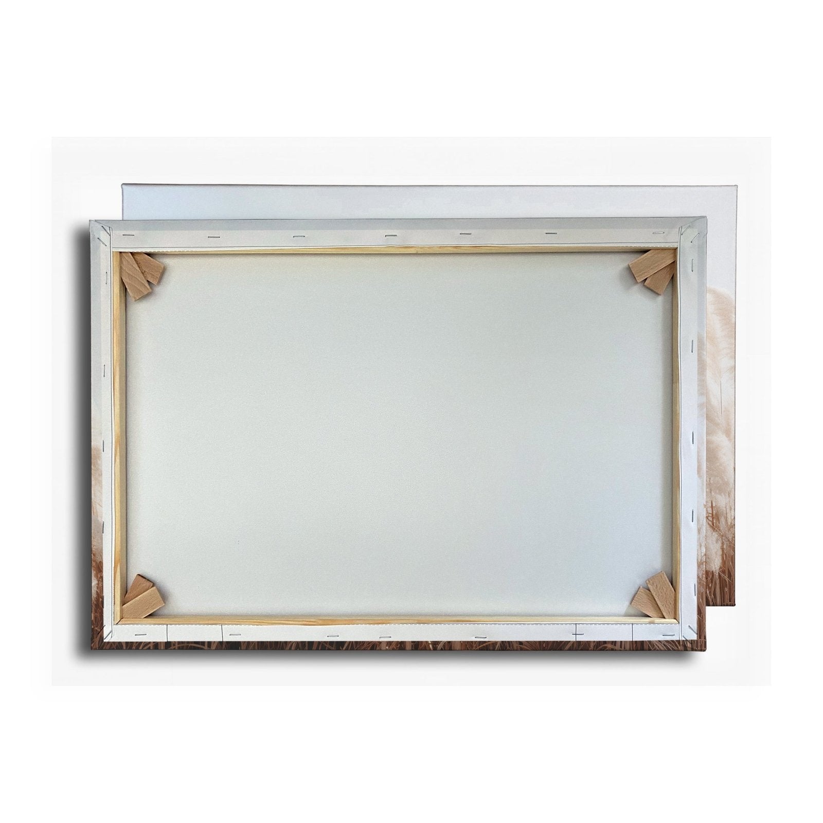 Leinwandbild Pampasgras XXL – Goldenes Licht & Naturmotiv für Wohnzimmer - deyoli