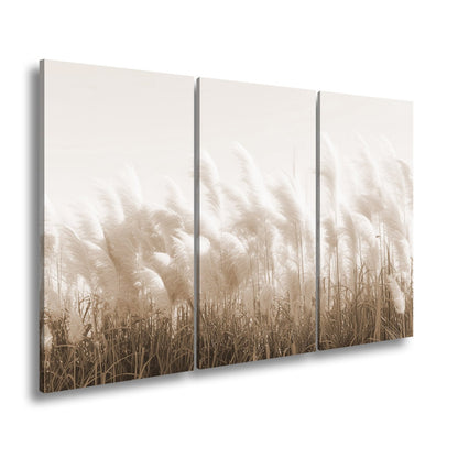 Leinwandbild Pampasgras XXL – Goldenes Licht & Naturmotiv für Wohnzimmer - deyoli