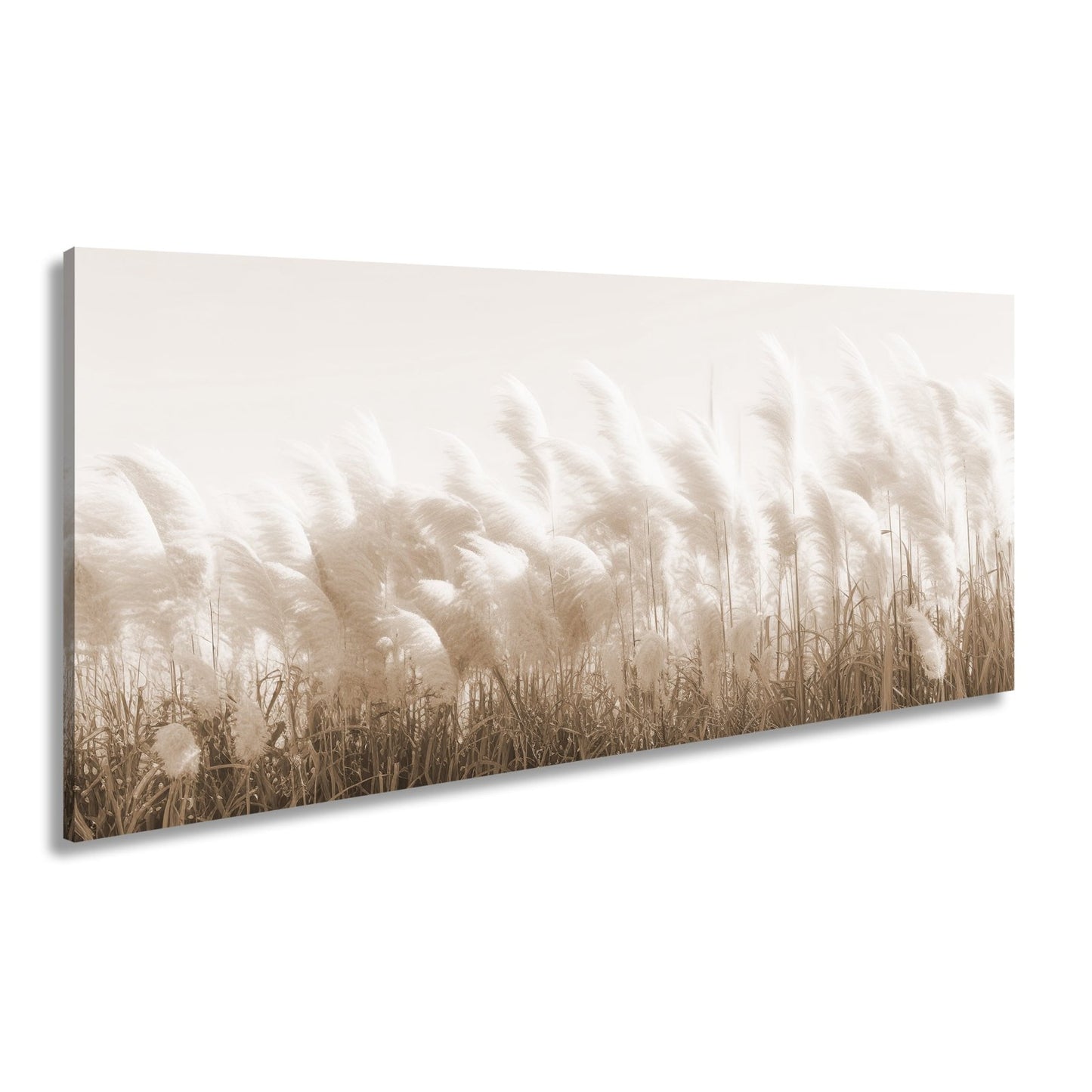 Leinwandbild Pampasgras XXL – Goldenes Licht & Naturmotiv für Wohnzimmer - deyoli