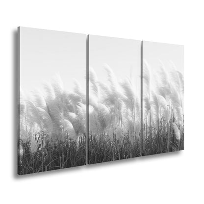 Leinwandbild Pampasgras XXL – Goldenes Licht & Naturmotiv für Wohnzimmer - deyoli