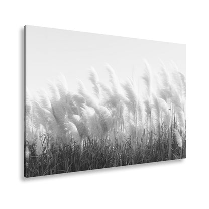 Leinwandbild Pampasgras XXL – Goldenes Licht & Naturmotiv für Wohnzimmer - deyoli