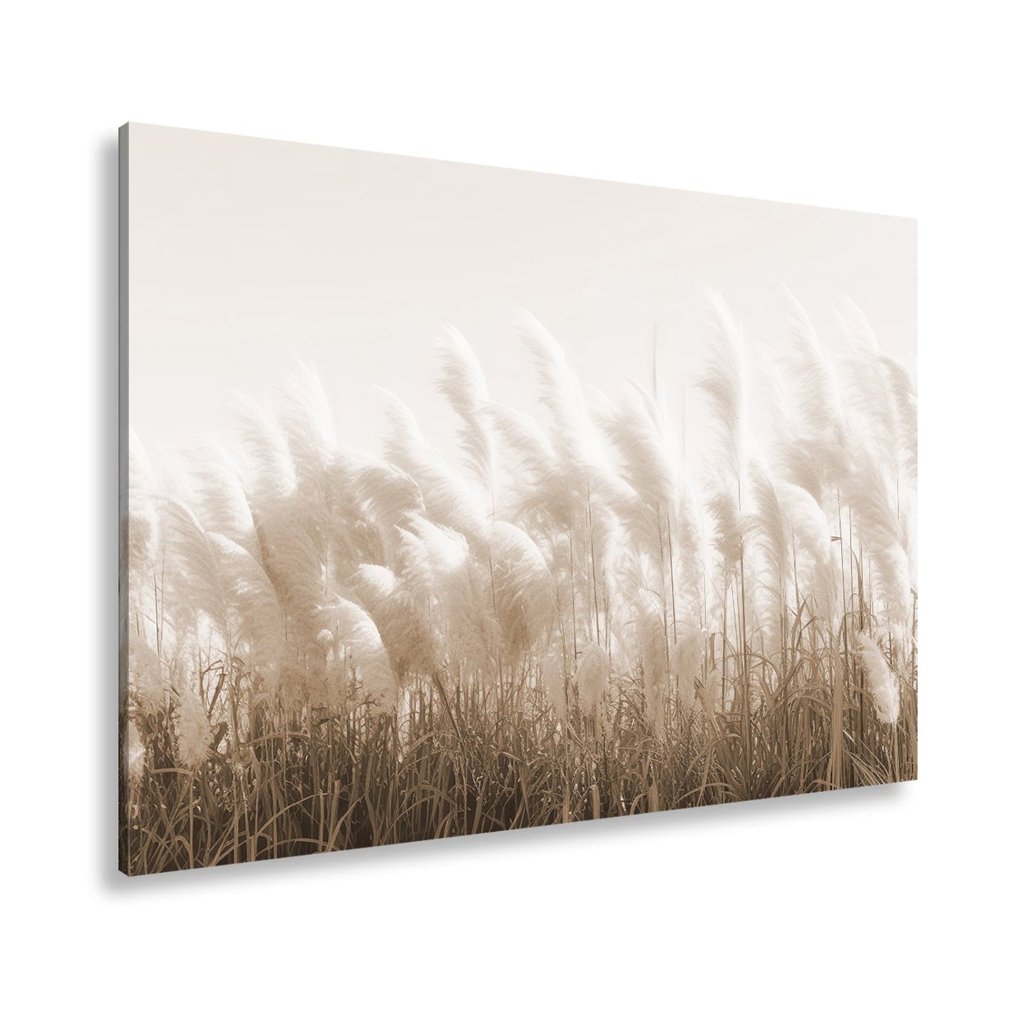 Leinwandbild Pampasgras XXL – Goldenes Licht & Naturmotiv für Wohnzimmer - deyoli