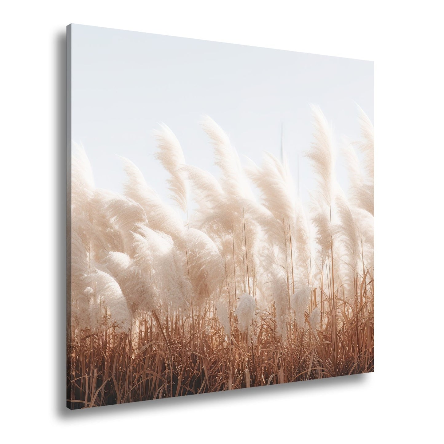 Leinwandbild Pampasgras XXL – Goldenes Licht & Naturmotiv für Wohnzimmer - deyoli