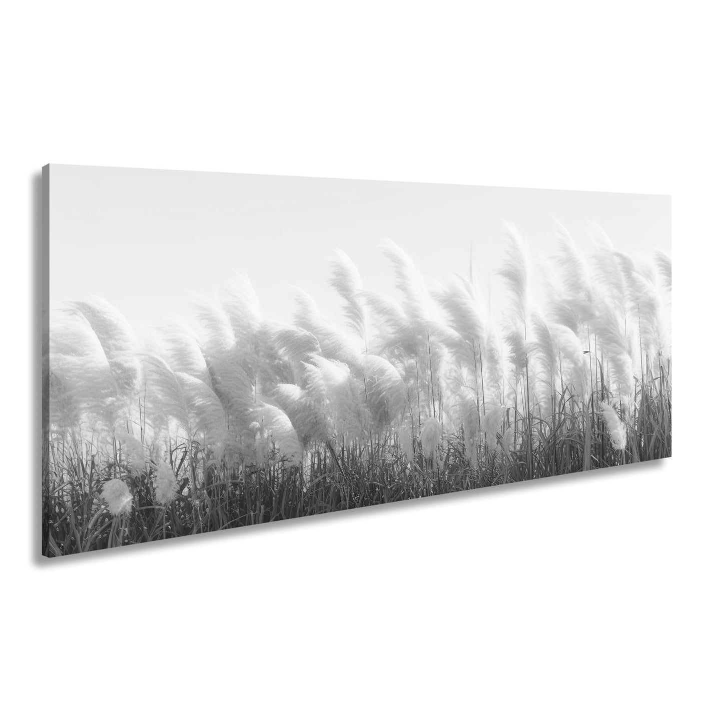 Leinwandbild Pampasgras XXL – Goldenes Licht & Naturmotiv für Wohnzimmer - deyoli