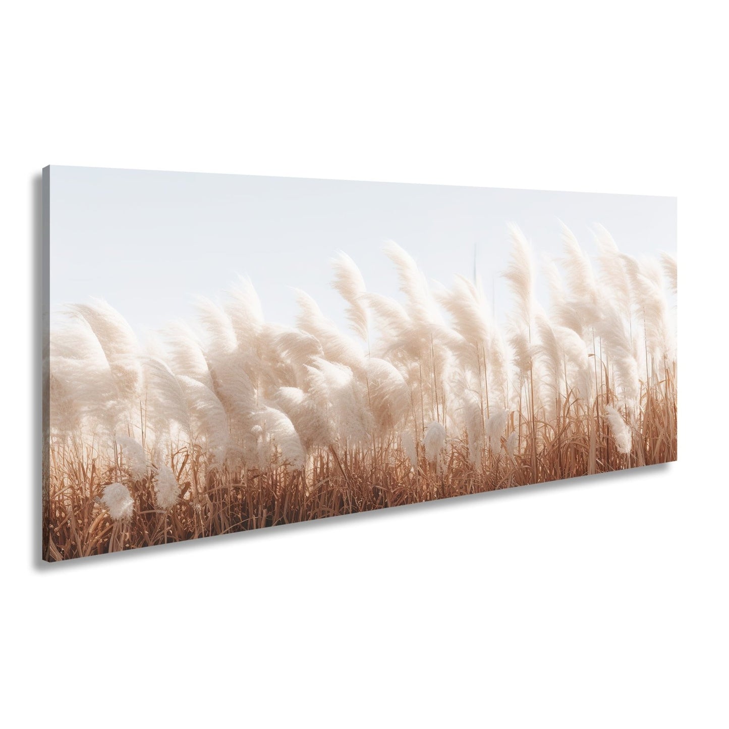 Leinwandbild Pampasgras XXL – Goldenes Licht & Naturmotiv für Wohnzimmer - deyoli