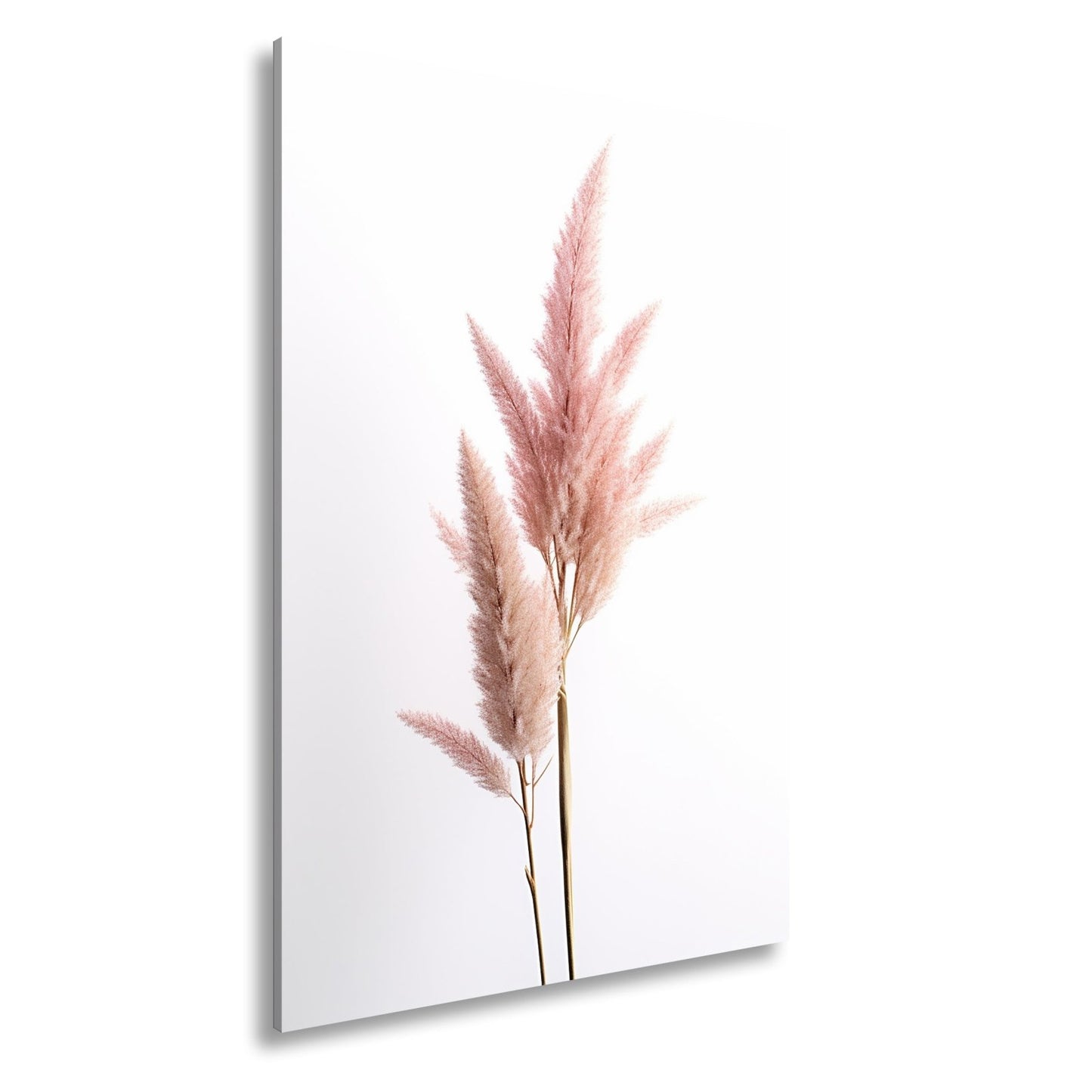 Leinwandbild Pampasgras XXL – Rosa Eleganz im Licht für Wohnzimmer - deyoli