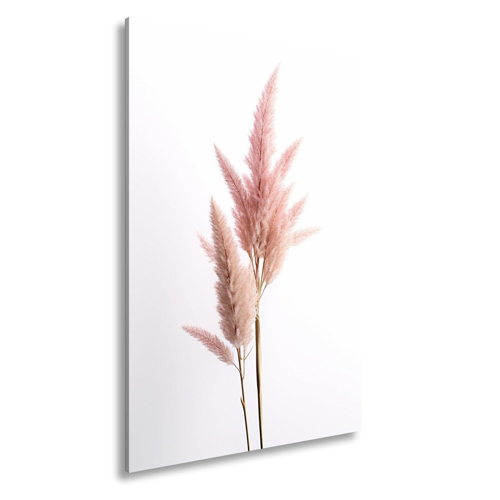 Leinwandbild Pampasgras XXL – Rosa Eleganz im Licht für Wohnzimmer - deyoli