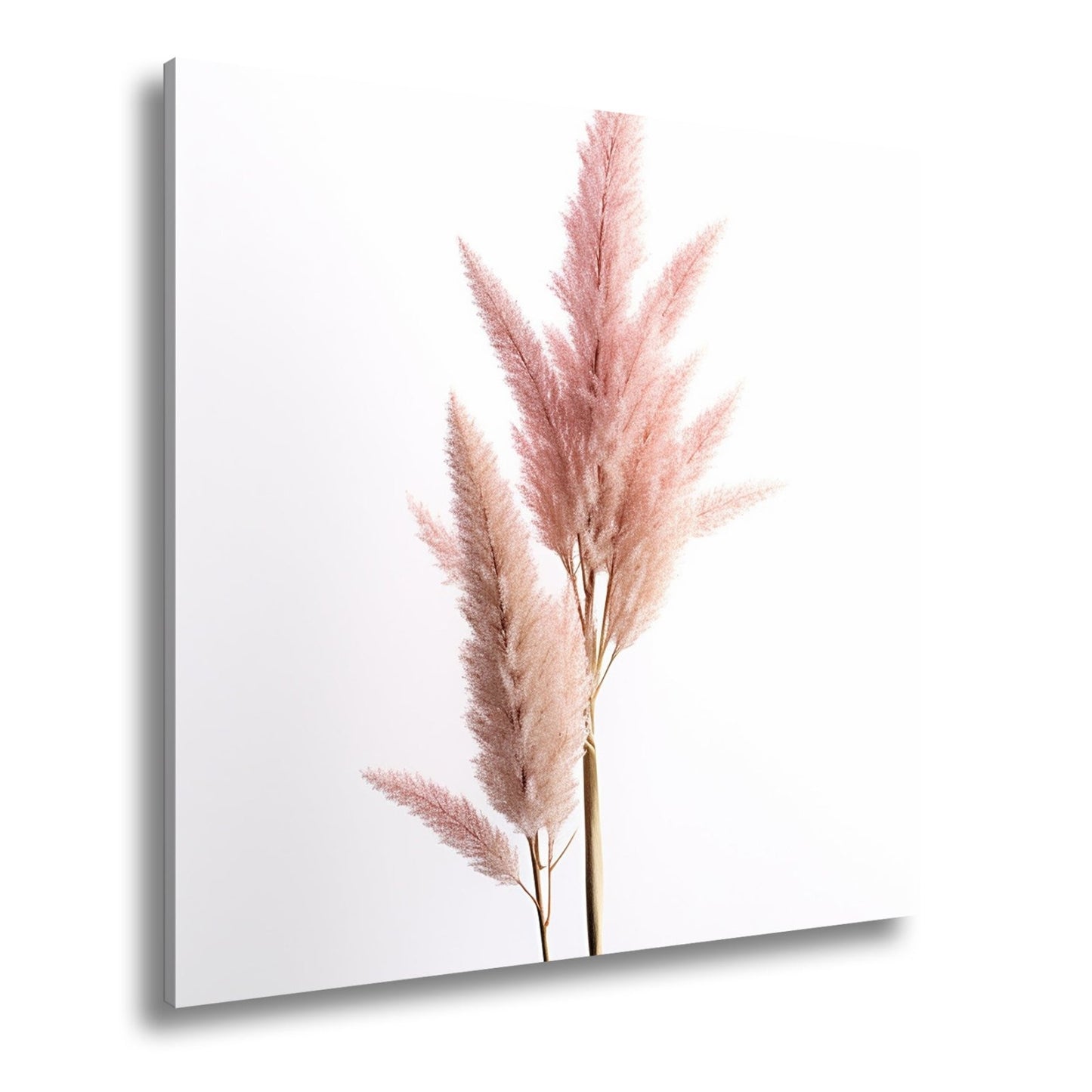 Leinwandbild Pampasgras XXL – Rosa Eleganz im Licht für Wohnzimmer - deyoli