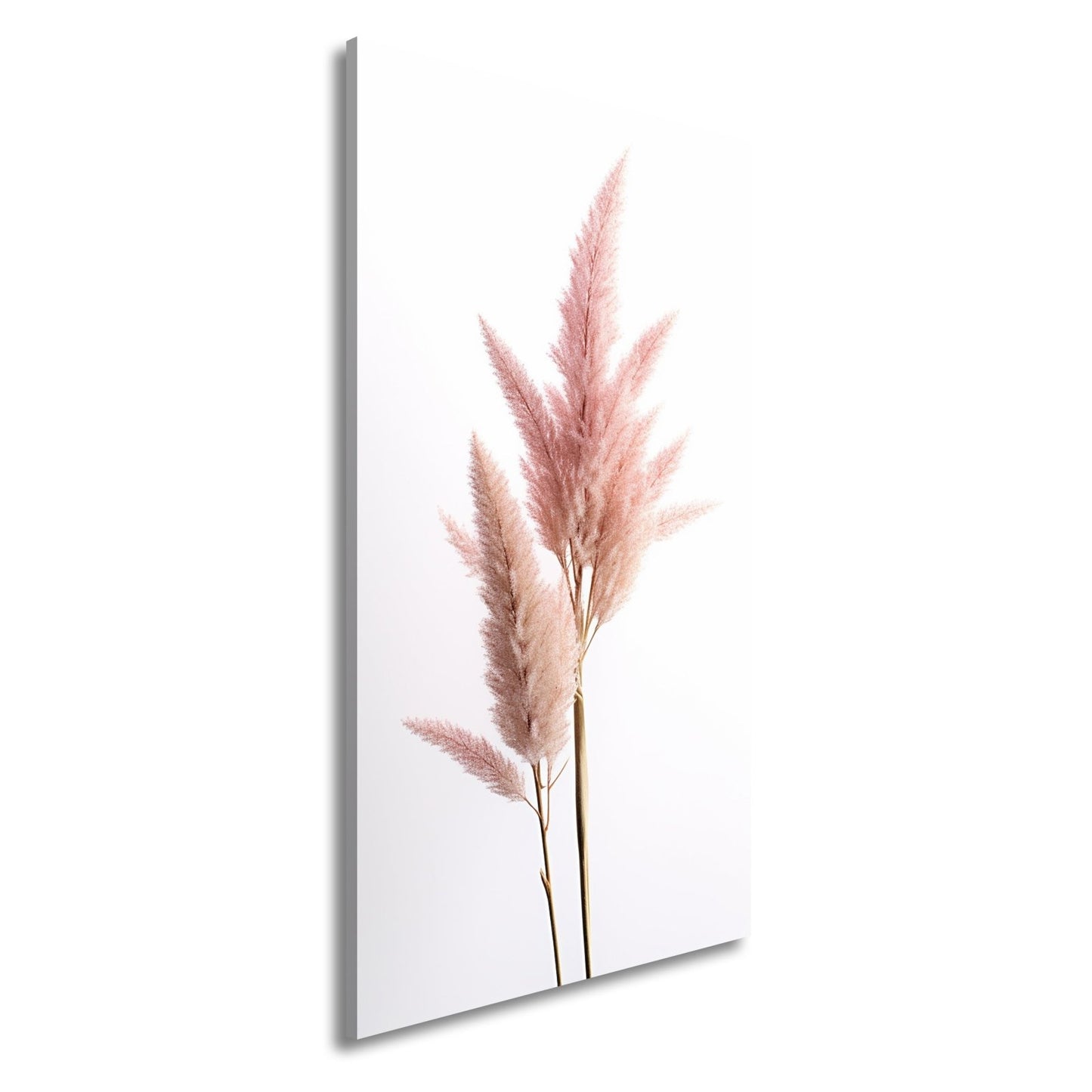 Leinwandbild Pampasgras XXL – Rosa Eleganz im Licht für Wohnzimmer - deyoli