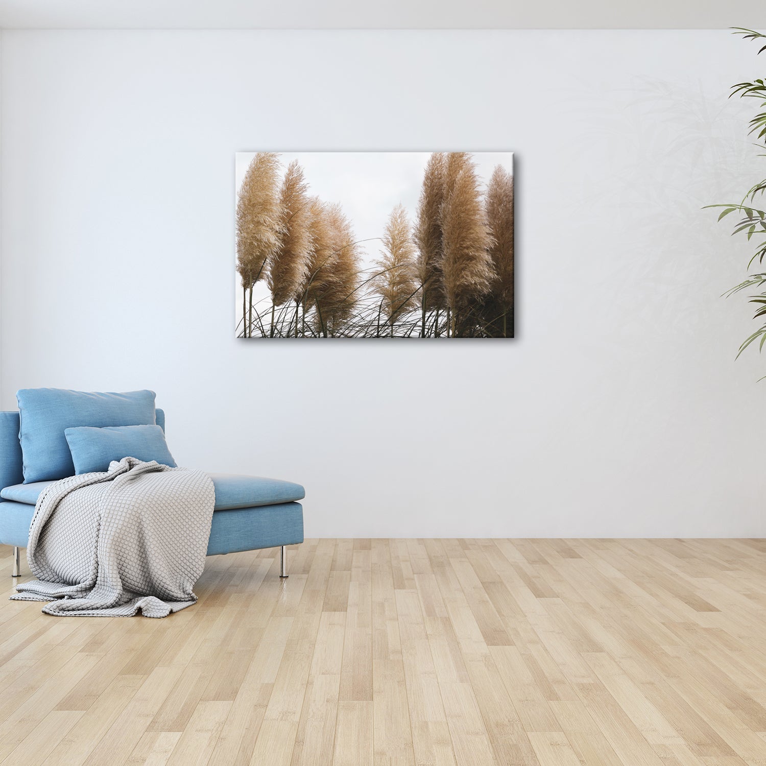 Leinwandbild Pampasgras XXL – Sanftes Himmelslicht Naturmotiv für Wohnzimmer - deyoli