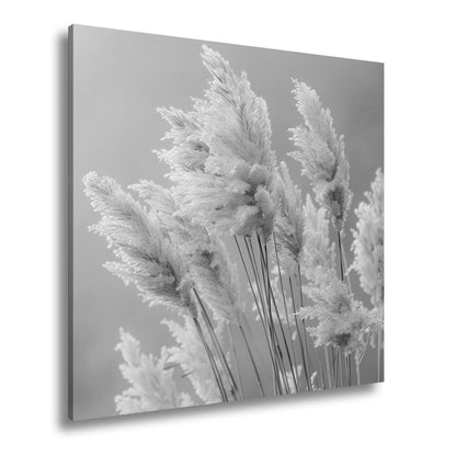 Leinwandbild Pampasgras XXL – Zartes Naturmotiv für Wohnzimmer & Schlafzimmer - deyoli