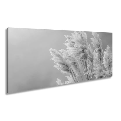 Leinwandbild Pampasgras XXL – Zartes Naturmotiv für Wohnzimmer & Schlafzimmer - deyoli