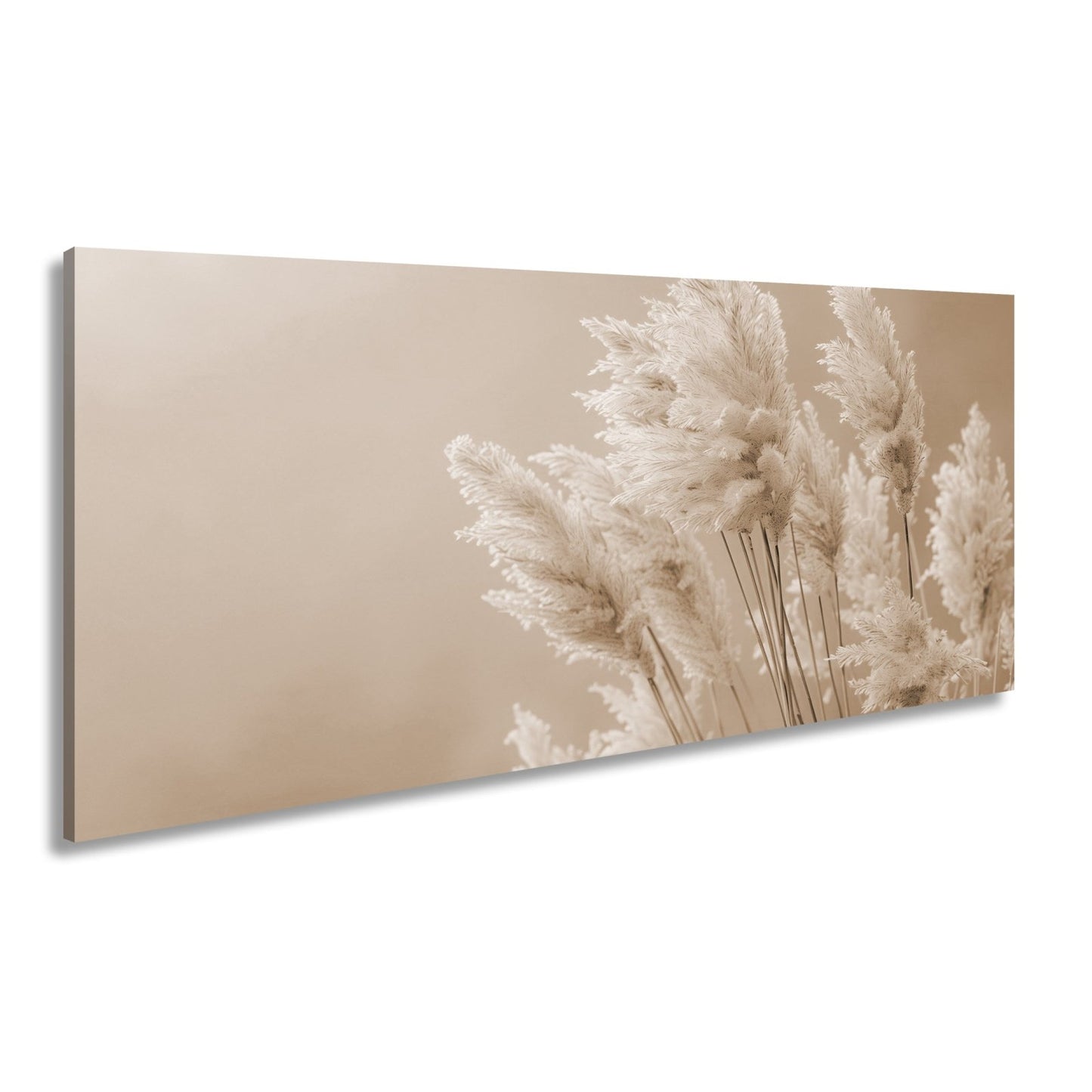 Leinwandbild Pampasgras XXL – Zartes Naturmotiv für Wohnzimmer & Schlafzimmer - deyoli
