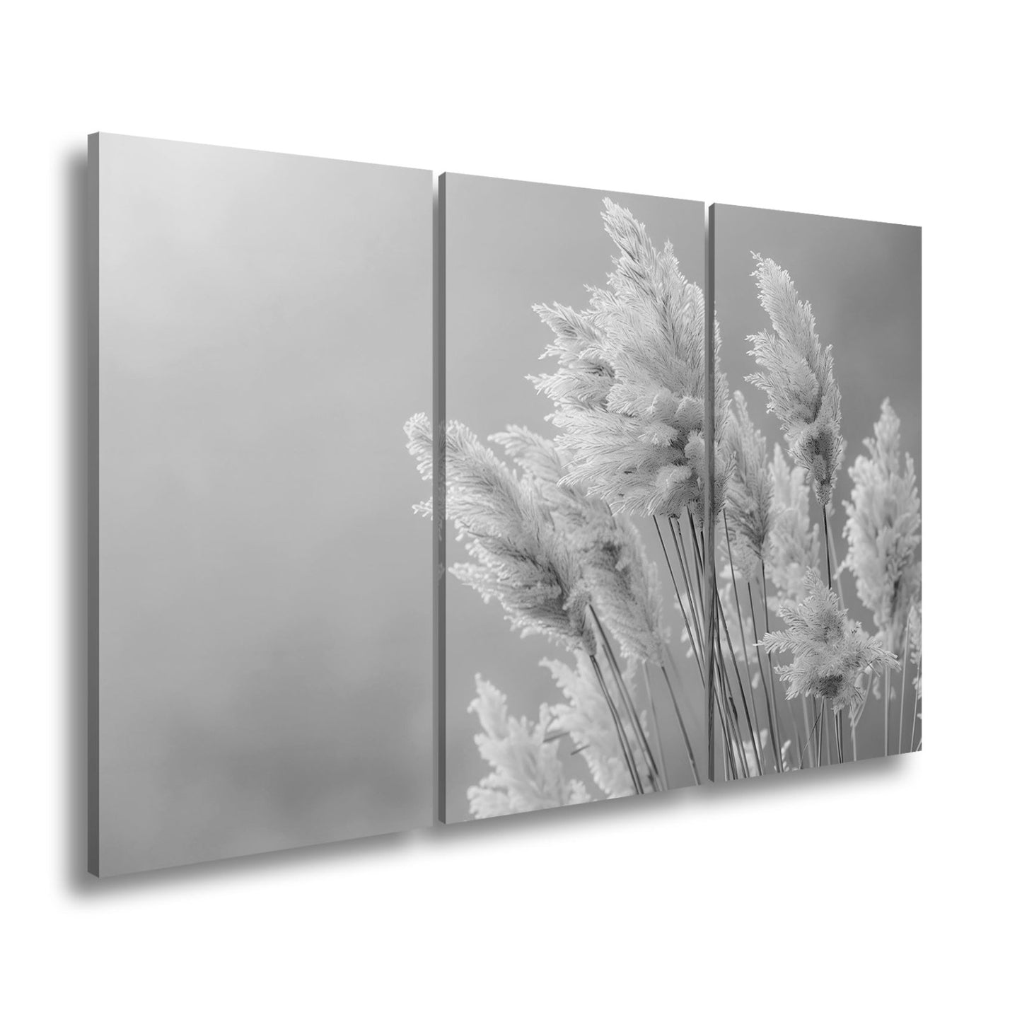 Leinwandbild Pampasgras XXL – Zartes Naturmotiv für Wohnzimmer & Schlafzimmer - deyoli