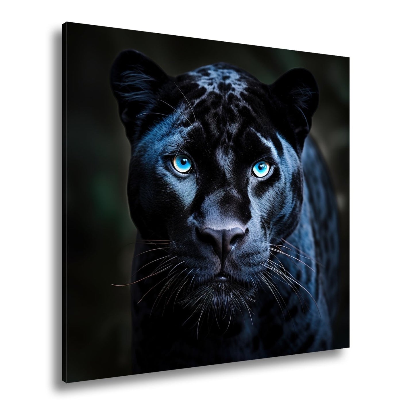 Leinwandbild Pantherblick – eisblaue Augen durchdringen die Dunkelheit. - deyoli