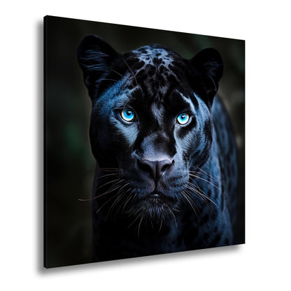 Leinwandbild Pantherblick – eisblaue Augen durchdringen die Dunkelheit. - deyoli