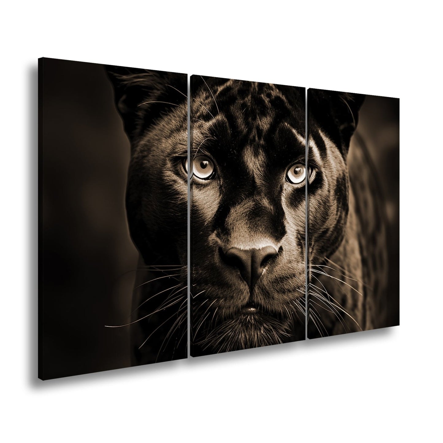 Leinwandbild Pantherblick – eisblaue Augen durchdringen die Dunkelheit. - deyoli