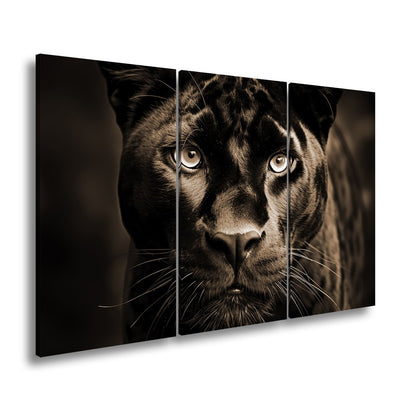 Leinwandbild Pantherblick – eisblaue Augen durchdringen die Dunkelheit. - deyoli