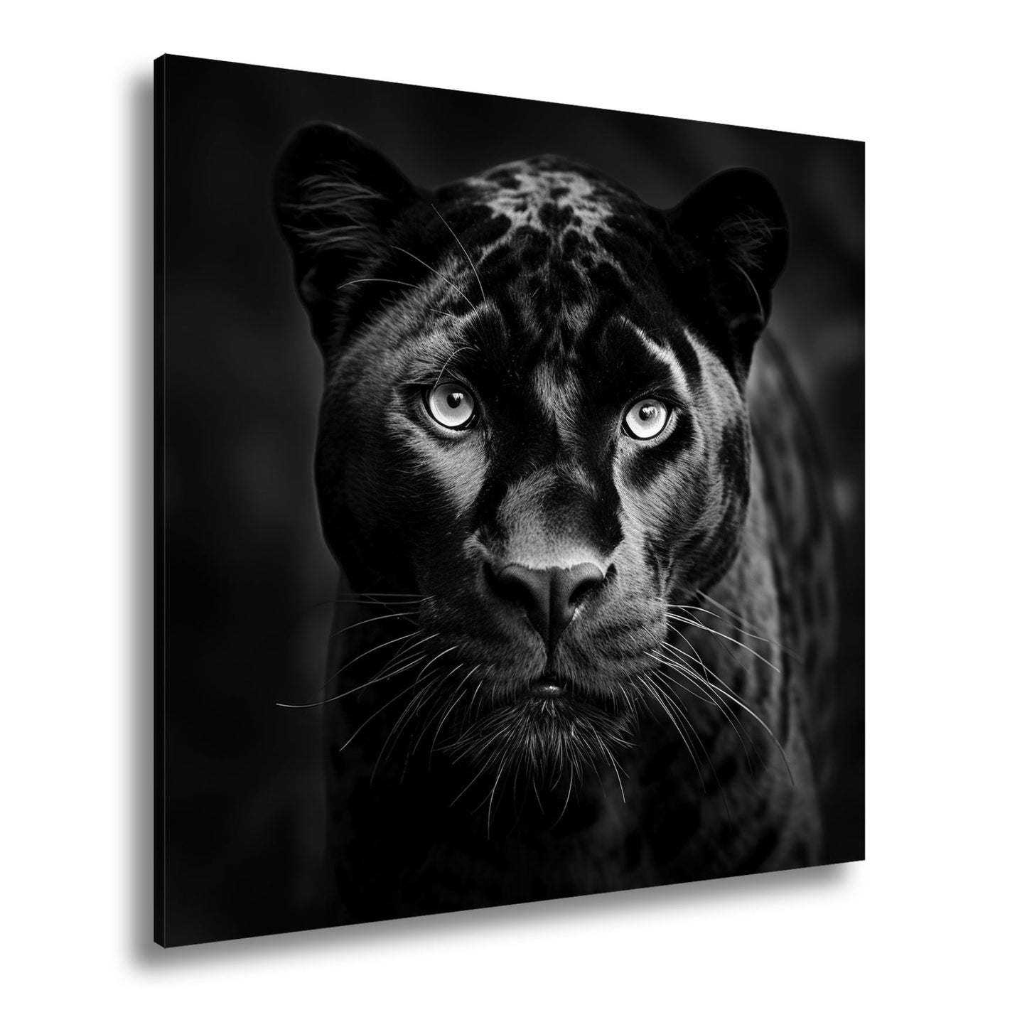 Leinwandbild Pantherblick – eisblaue Augen durchdringen die Dunkelheit. - deyoli