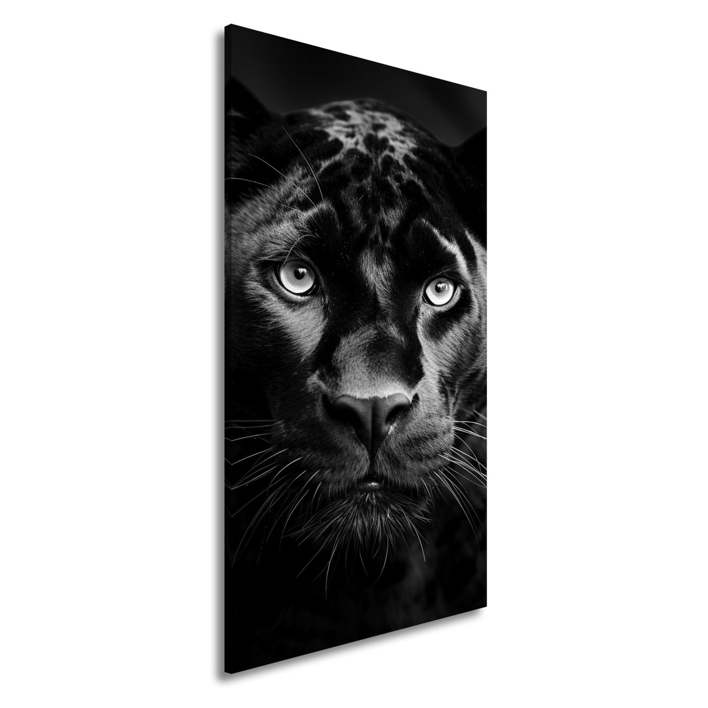 Leinwandbild Pantherblick – eisblaue Augen durchdringen die Dunkelheit. - deyoli