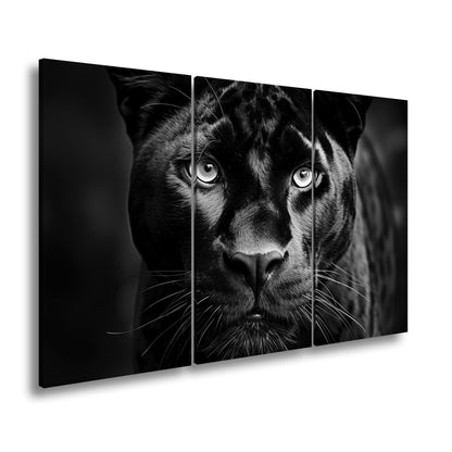 Leinwandbild Pantherblick – eisblaue Augen durchdringen die Dunkelheit. - deyoli
