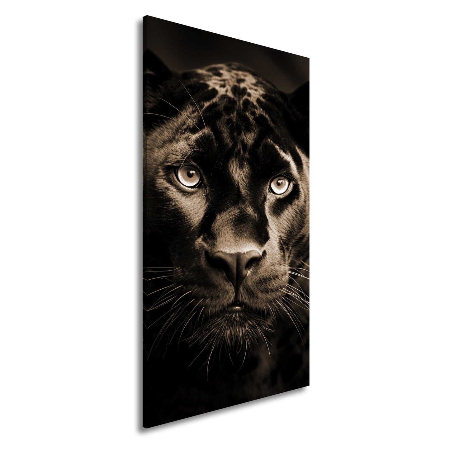Leinwandbild Pantherblick – eisblaue Augen durchdringen die Dunkelheit. - deyoli