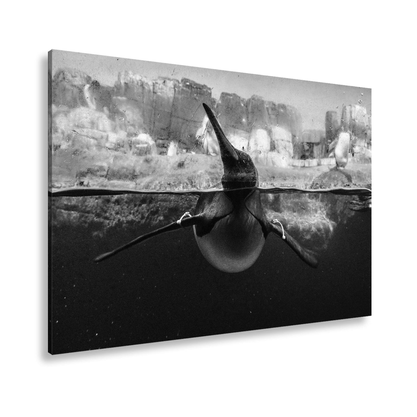 Leinwandbild Pinguin gleitet elegant durch eisiges, klares Wasser. - deyoli