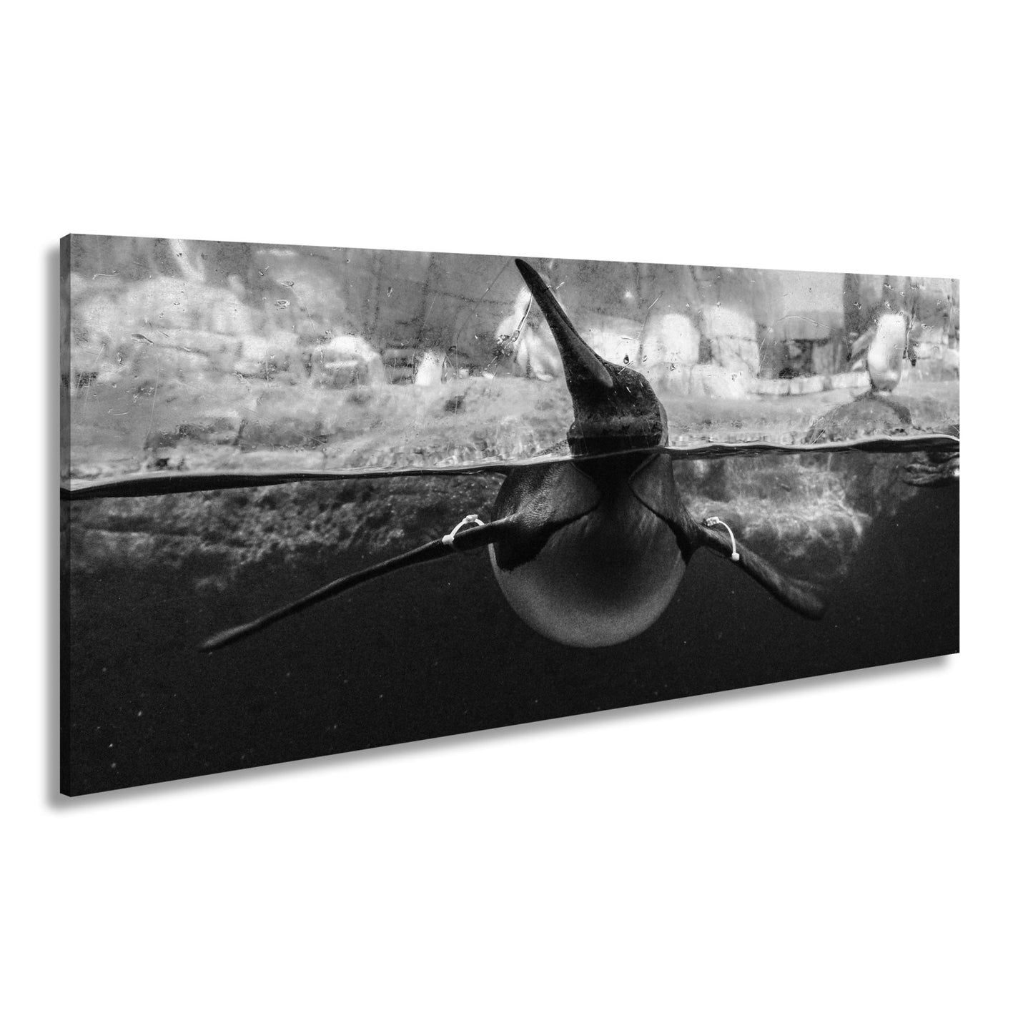 Leinwandbild Pinguin gleitet elegant durch eisiges, klares Wasser. - deyoli
