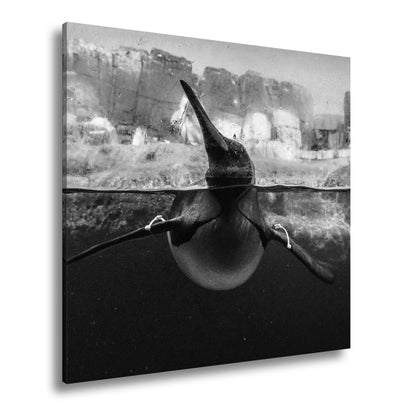 Leinwandbild Pinguin gleitet elegant durch eisiges, klares Wasser. - deyoli
